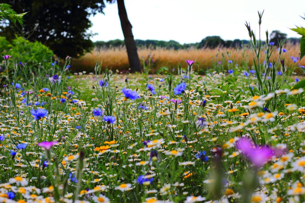 Spring Talk: Right to Roam and Access to the Countryside